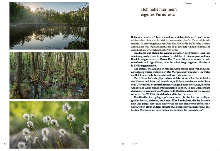 Produktbild: Rewilding am Oderdelta