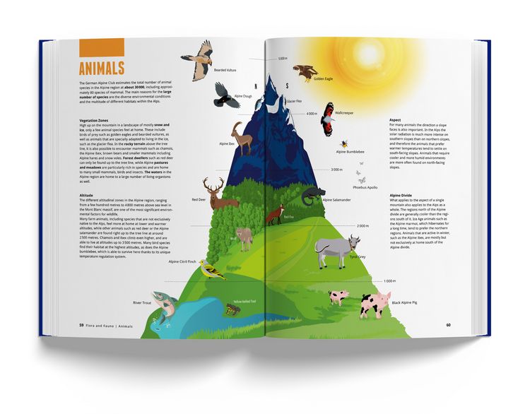 Produktbild: Book of the Alps