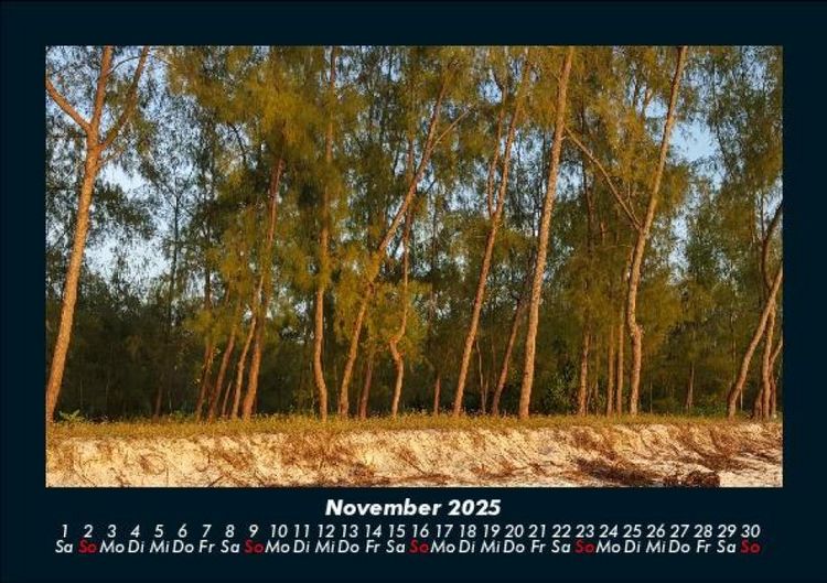 Produktbild: Bilder aus der Natur 2025 Fotokalender DIN A5