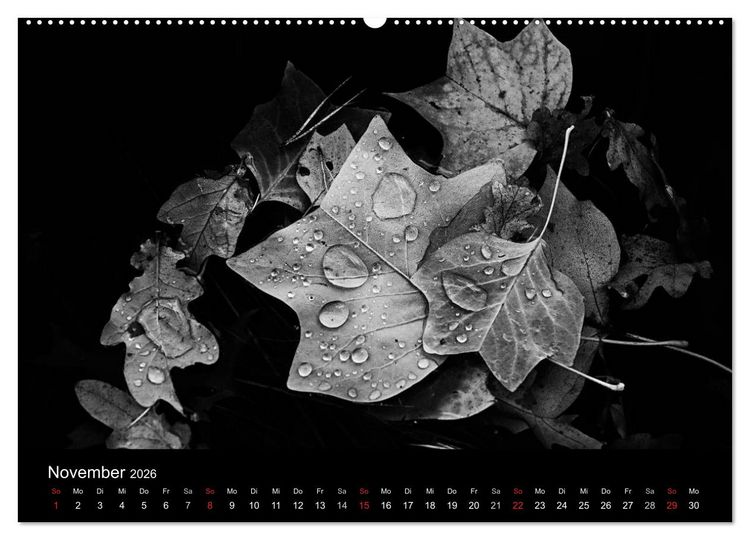 Produktbild: Das Licht in Schwarz und Wei&szlig; (Wandkalender 2026 DIN A2 quer), CALVENDO Monatskalender