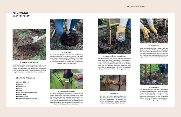 Produktbild: Kleine B&auml;ume f&uuml;r den Garten