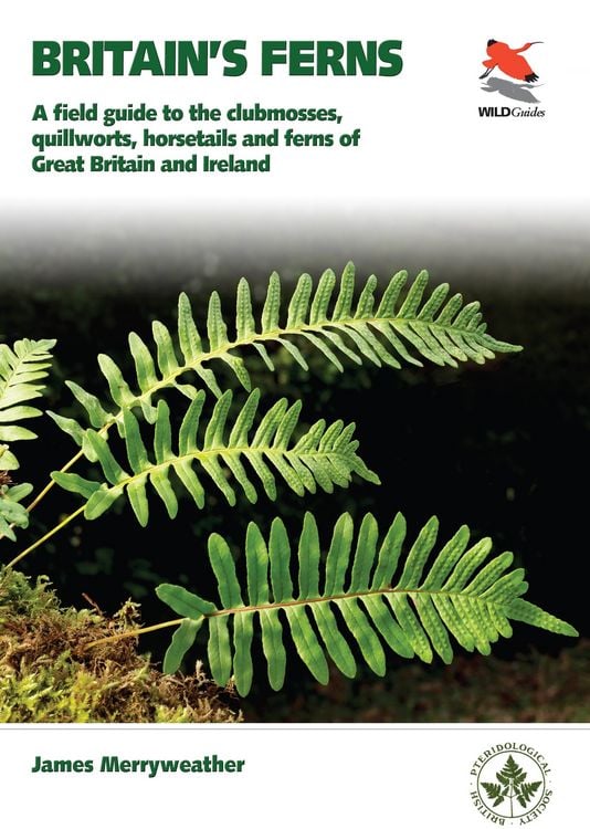 Produktbild: Ferns