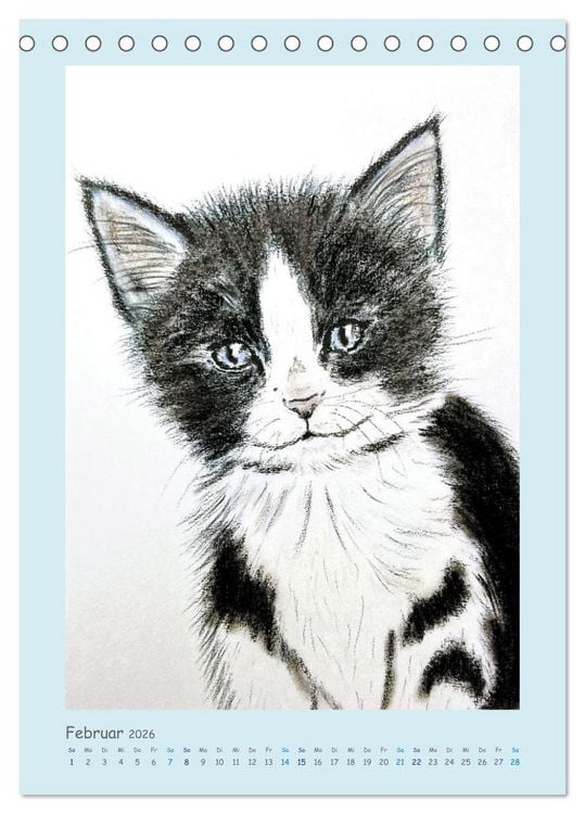 Produktbild: PortraiTierART Samtpf&ouml;tchen (Tischkalender 2026 DIN A5 hoch), CALVENDO Monatskalender