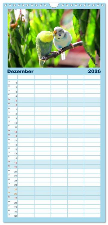Produktbild: Familienplaner 2026 - Wellensittichtr&auml;ume - Der neue Wellensittich-Naturkalender mit 5 Spalten (Wandkalender, 21 x 45 cm) CALVENDO