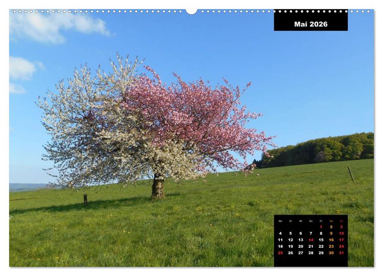 Produktbild: Odenwald Emotionen (Wandkalender 2026 DIN A2 quer), CALVENDO Monatskalender