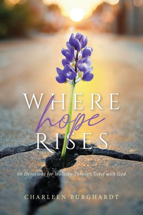 Produktbild: Where Hope Rises
