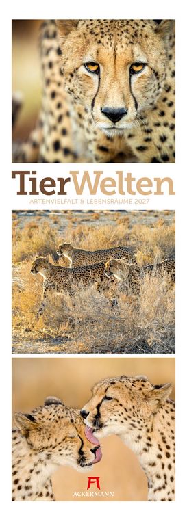 Produktbild: Tierwelten Triplet-Kalender 2027 | Artenvielfalt & Lebensr&auml;ume