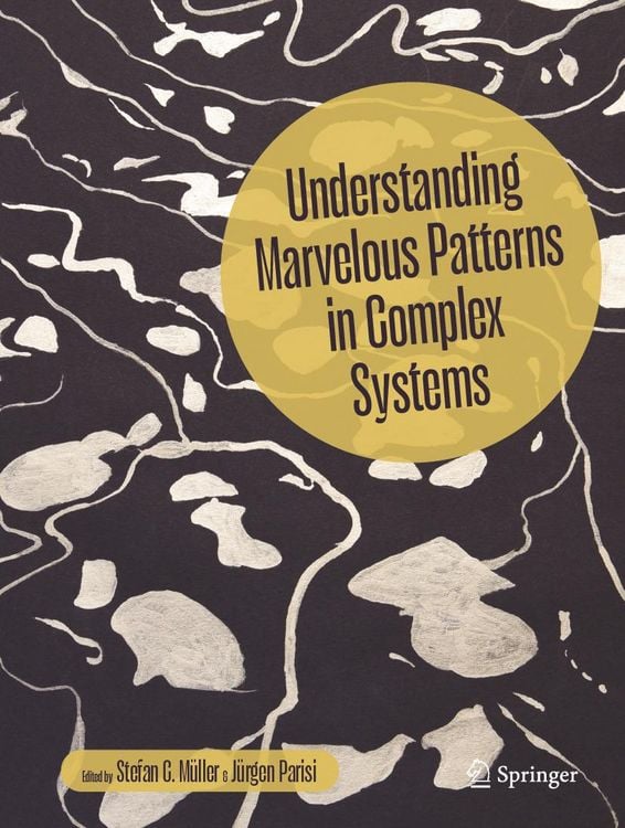 Produktbild: Understanding Marvelous Patterns in Complex Systems