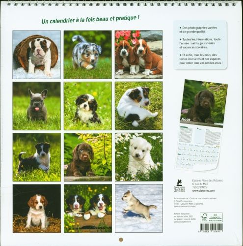 Produktbild: Chiots : calendrier 2022