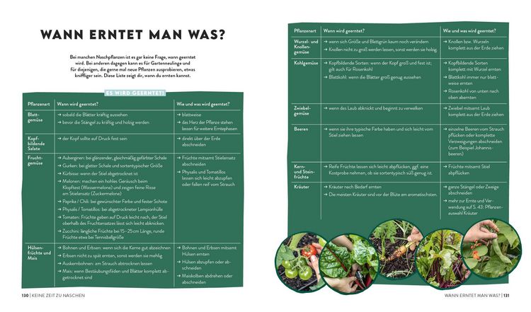 Produktbild: Keine Zeit zu g&auml;rtnern &ndash;&nbsp;Easy Erntegl&uuml;ck mit wenig Aufwand