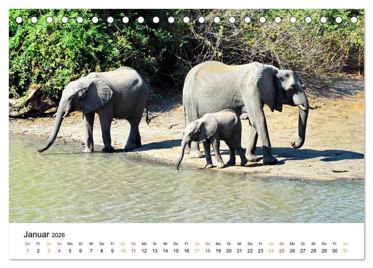 Produktbild: Elefanten Impressionen (Tischkalender 2026 DIN A5 quer), CALVENDO Monatskalender