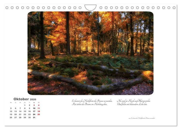 Produktbild: Max Dauthendey - Mit dem Wald durchs Jahr (Wandkalender 2026 DIN A4 quer), CALVENDO Monatskalender