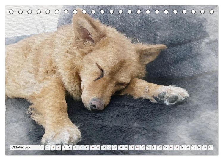 Produktbild: Niedliche Hunde - Digitale Aquarelle (Tischkalender 2026 DIN A5 quer), CALVENDO Monatskalender