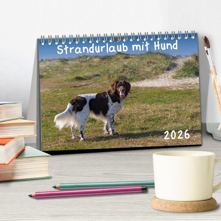 Produktbild: Strandurlaub mit Hund (Tischkalender 2026 DIN A5 quer), CALVENDO Monatskalender