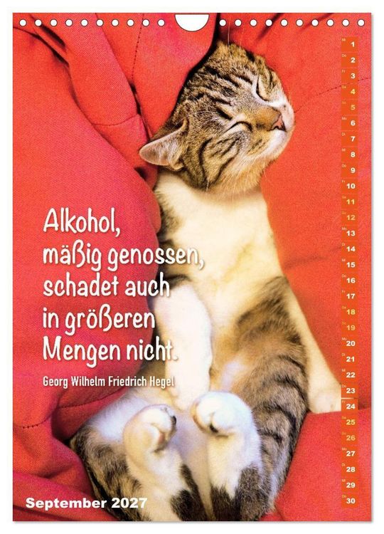 Produktbild: Der literarische Katerkalender (Wandkalender 2027 DIN A4 hoch), CALVENDO Monatskalender