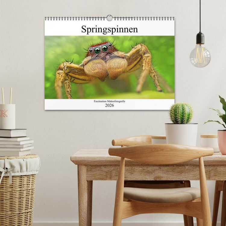 Produktbild: Faszination Makrofotografie: Springspinnen (Wandkalender 2026 DIN A3 quer), CALVENDO Monatskalender