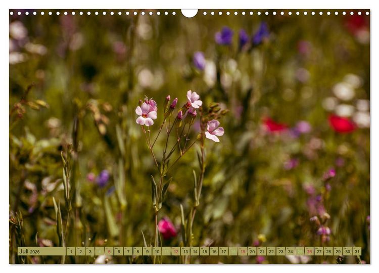Produktbild: Wildwuchs 2026 (Wandkalender 2026 DIN A3 quer), CALVENDO Monatskalender
