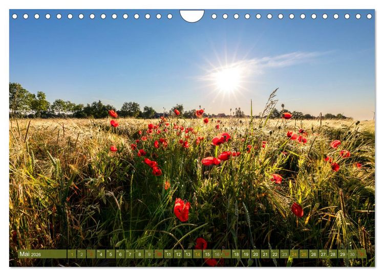 Produktbild: Moin Moormerland (Wandkalender 2026 DIN A4 quer), CALVENDO Monatskalender