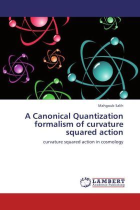 Produktbild: Salih, M: Canonical Quantization formalism of curvature squa