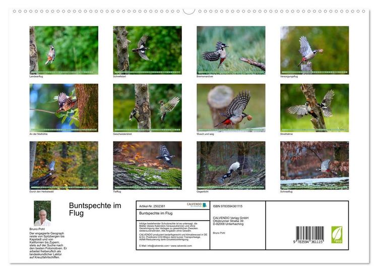 Produktbild: Buntspechte im Flug (hochwertiger Premium Wandkalender 2027 DIN A2 quer), Kunstdruck in Hochglanz