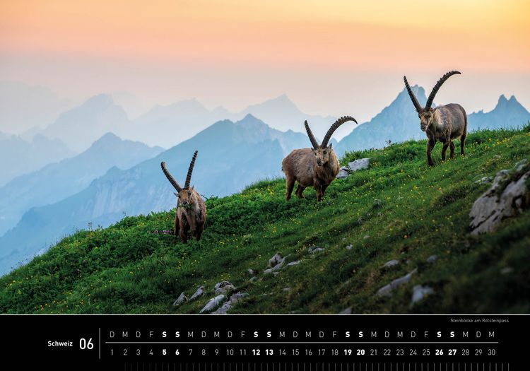 Produktbild: Schweiz Premiumkalender 2027