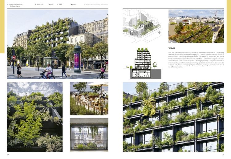 Produktbild: Contemporary Architecture