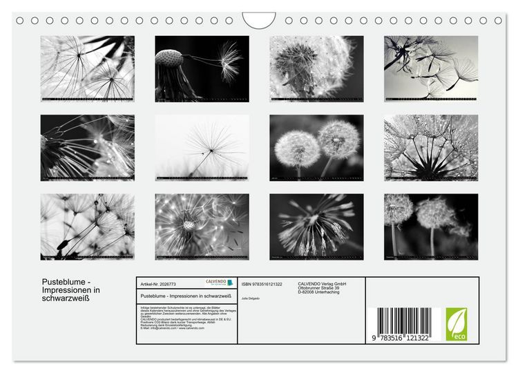Produktbild: Pusteblume - Impressionen in schwarzwei&szlig; (Wandkalender 2026 DIN A4 quer), CALVENDO Monatskalender