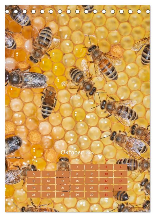 Produktbild: Gesch&auml;ftig wie im Bienenstock (Tischkalender 2026 DIN A5 hoch), CALVENDO Monatskalender