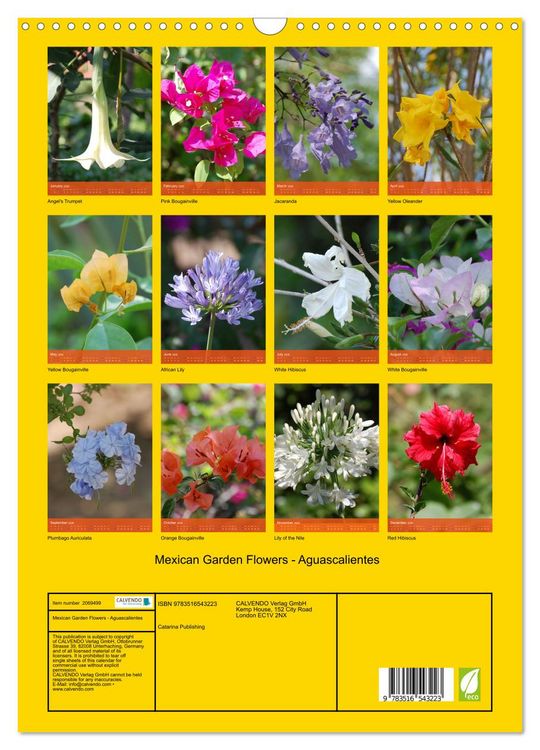 Produktbild: Mexican Garden Flowers - Aguascalientes (Wall Calendar 2026 DIN A3 portrait), CALVENDO 12 Month Wall Calendar