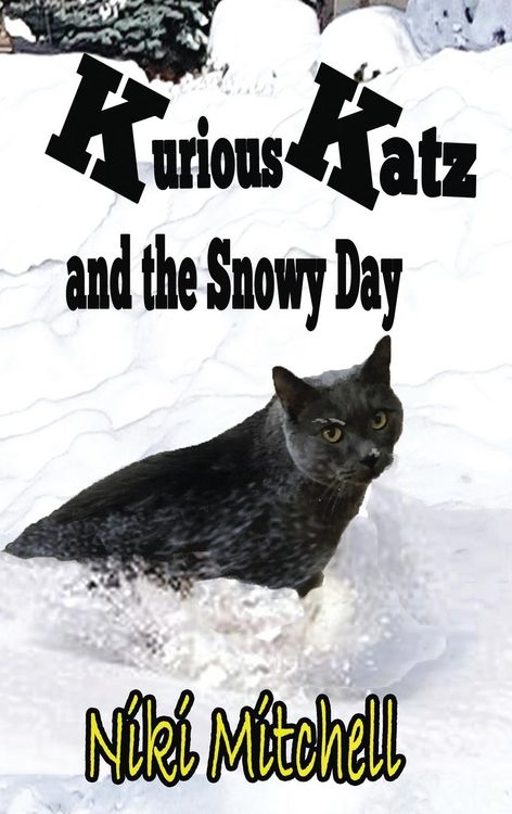 Produktbild: Kurious Katz and the Snowy Day