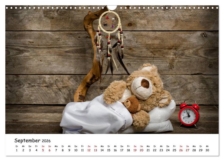 Produktbild: Eddy, der Teddy (Wandkalender 2026 DIN A3 quer), CALVENDO Monatskalender