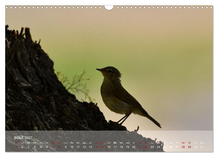 Produktbild: Oiseaux, Papillons et Libellules (Calendrier mural 2027 DIN A3 vertical), CALVENDO calendrier mensuel