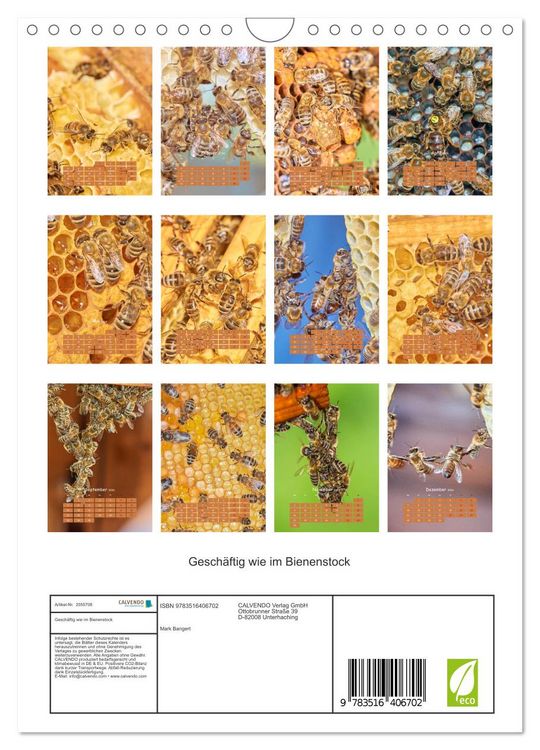 Produktbild: Gesch&auml;ftig wie im Bienenstock (Wandkalender 2026 DIN A4 hoch), CALVENDO Monatskalender