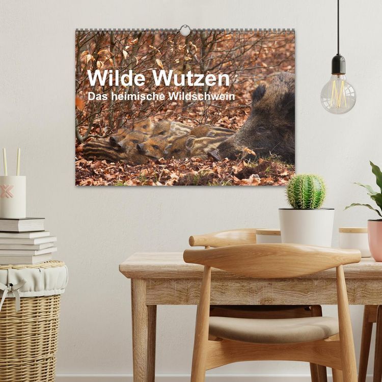 Produktbild: Wilde Wutzen. Das heimische Wildschwein (Wandkalender 2026 DIN A3 quer), CALVENDO Monatskalender