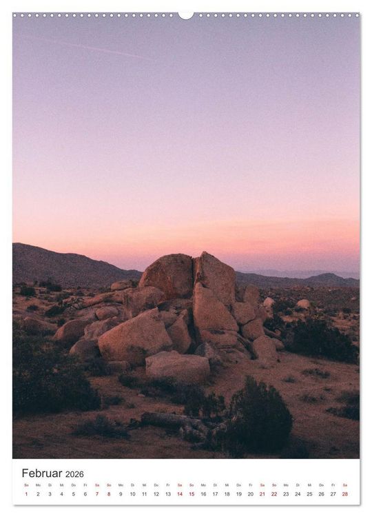 Produktbild: Palm Springs - Immer der Sonne nach. (Wandkalender 2026 DIN A2 hoch), CALVENDO Monatskalender