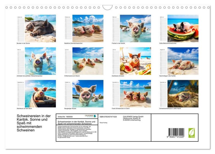 Produktbild: Schweinereien in der Karibik. Sonne und Spa&szlig; mit schwimmenden Schweinen (Wandkalender 2026 DIN A3 quer), CALVENDO Monatskalender
