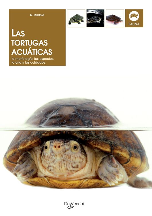 Produktbild: Las tortugas acu&aacute;ticas