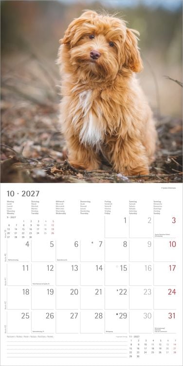 Produktbild: Hunde 2027