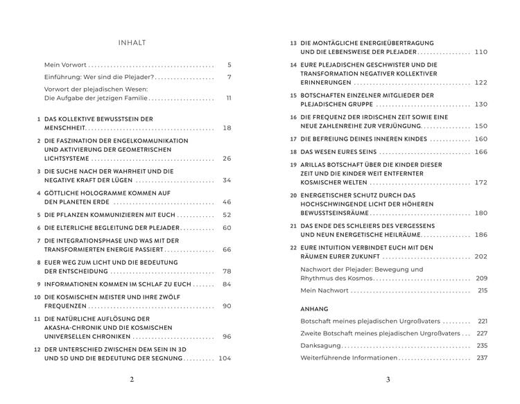 Produktbild: Plejadische Intelligenz