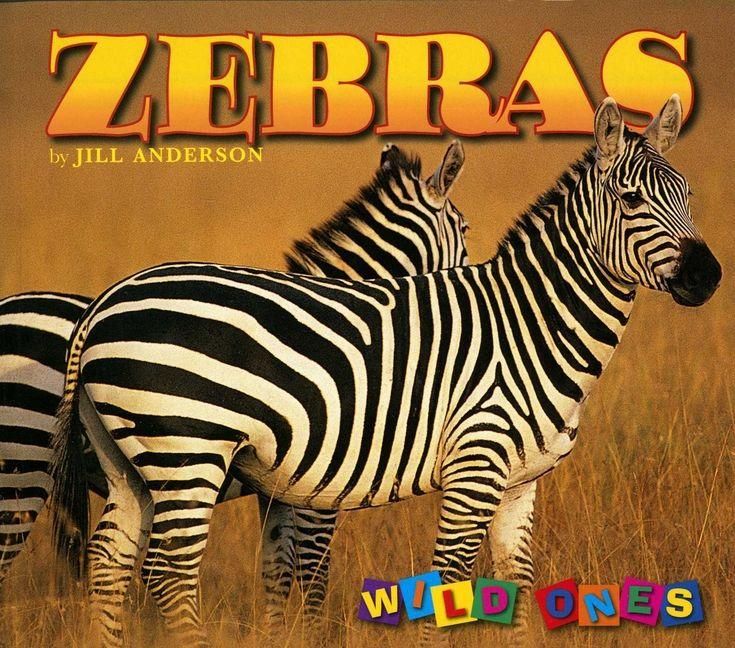 Produktbild: Zebras