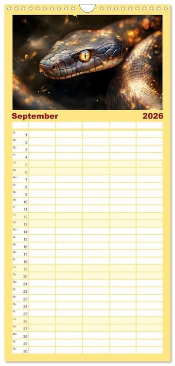 Produktbild: Familienplaner 2026 - Tierische Balance mit 5 Spalten (Wandkalender, 21 x 45 cm) CALVENDO