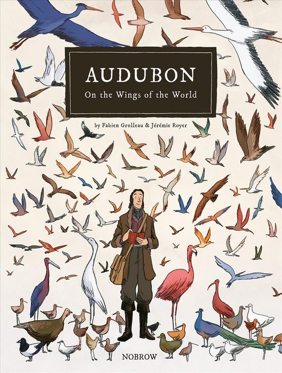 Produktbild: Grolleau, F: Audubon, on the Wings of the World [Graphic Nov