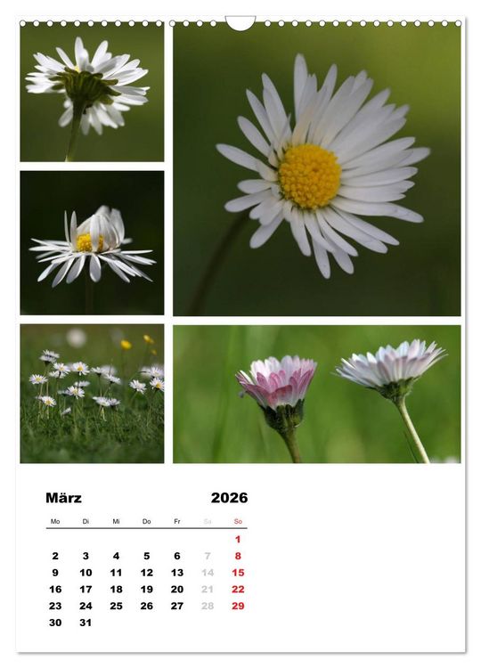 Produktbild: Bl&uuml;ten Collagen (Wandkalender 2026 DIN A3 hoch), CALVENDO Monatskalender