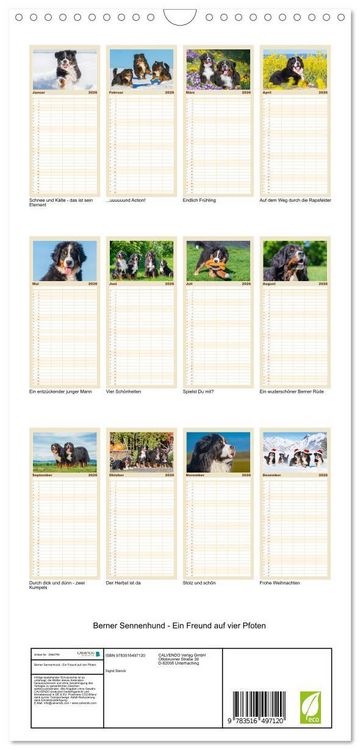 Produktbild: Familienplaner 2026 - Berner Sennenhund - Ein Freund auf vier Pfoten mit 5 Spalten (Wandkalender, 21 x 45 cm) CALVENDO