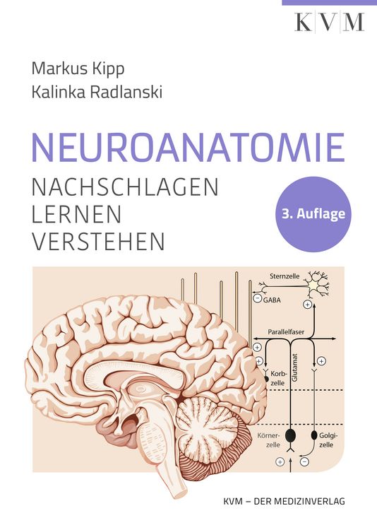 Produktbild: Neuroanatomie