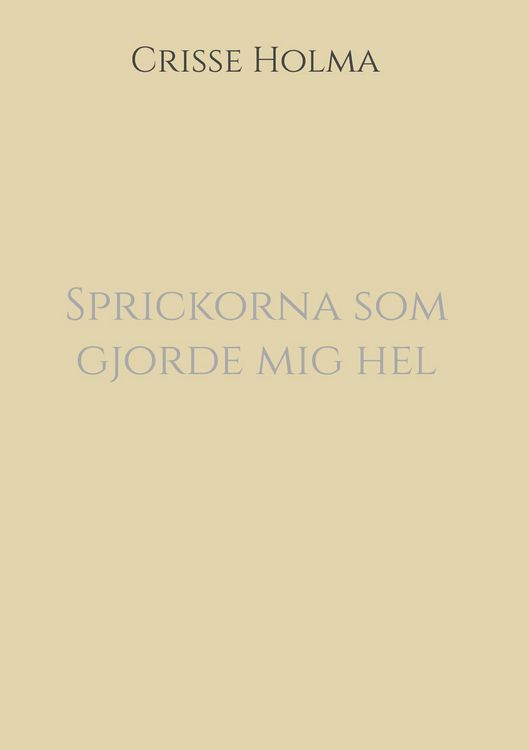 Produktbild: Sprickorna som gjorde mig hel