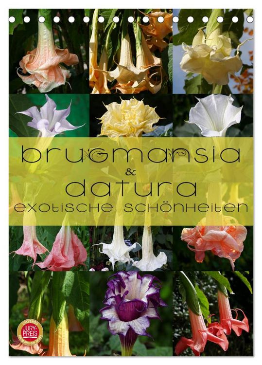 Produktbild: Brugmansia & Datura - Exotische Sch&ouml;nheiten (Tischkalender 2026 DIN A5 hoch), CALVENDO Monatskalender