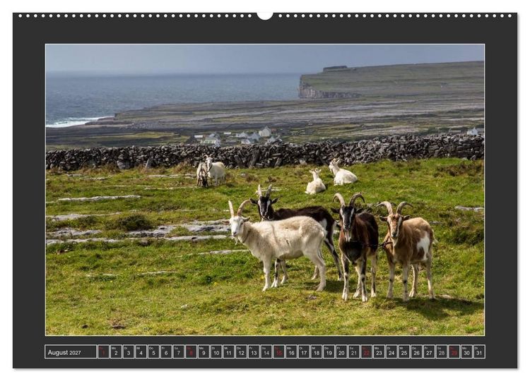 Produktbild: IRLAND - Insel der gl&uuml;cklichen Schafe (Wandkalender 2027 DIN A2 quer), CALVENDO Monatskalender