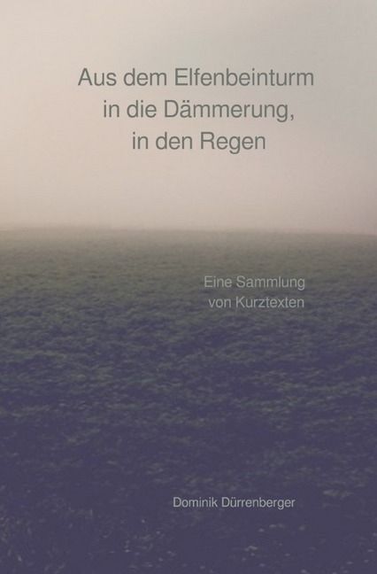 Produktbild: Aus dem Elfenbeinturm in die D&auml;mmerung, in den Regen