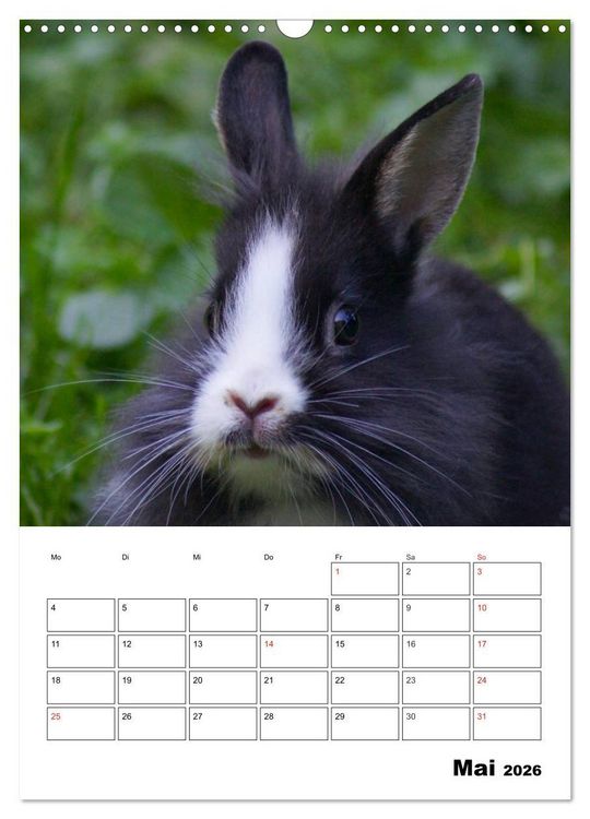 Produktbild: Kaninchen Terminplaner (Wandkalender 2026 DIN A3 hoch), CALVENDO Monatskalender